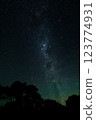New Zealand's Summer Milky Way 123774931