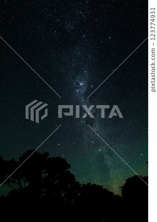 New Zealand's Summer Milky Way 123774931