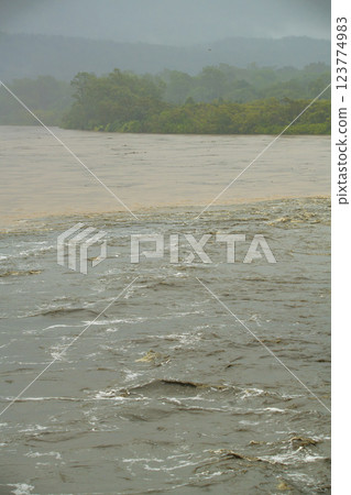 Local flood waters in Brisbane caused by Cyclone Alfred. 123774983