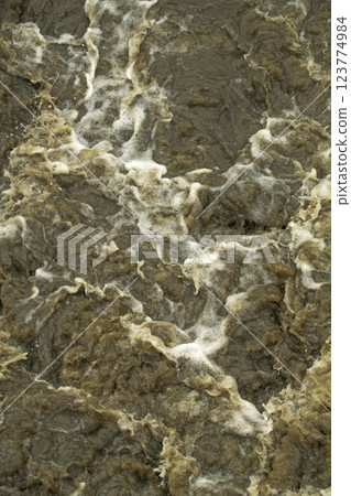 Local flood waters in Brisbane caused by Cyclone Alfred. 123774984