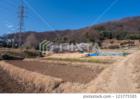 Awainomori Plum Grove, Tsurumaki Onsen, Kitayana 123775585