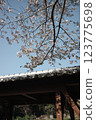 Cherry blossoms and old Japanese roofs 123775698