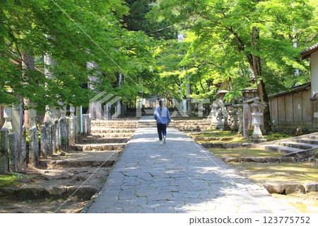 Tanigumi Kegonji Temple 5 123775752