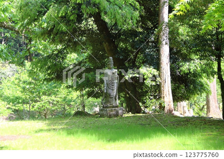Yagikumi Kegonji Temple・13 123775760