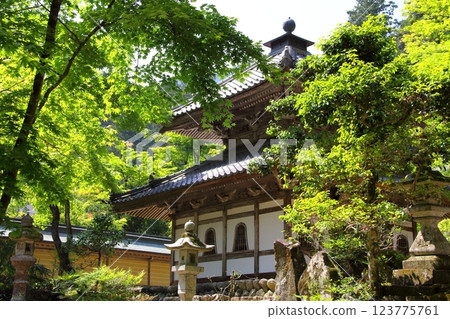 Yagikumi Kegonji Temple・14 Yagikumi Kegonji Temple・14 123775761