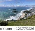 White sand beach seen from the hill 123775826