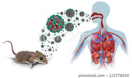 Hantavirus spread 123776058