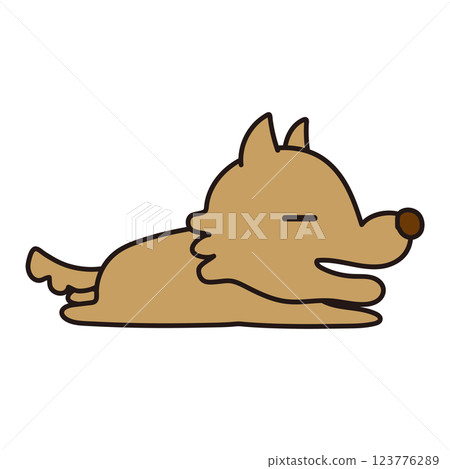 A lazy, not scary wolf lying down 123776289