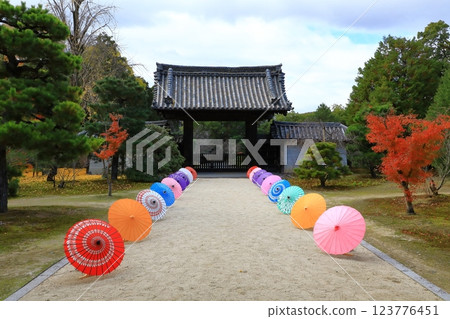 隨心院 紅葉 123776451