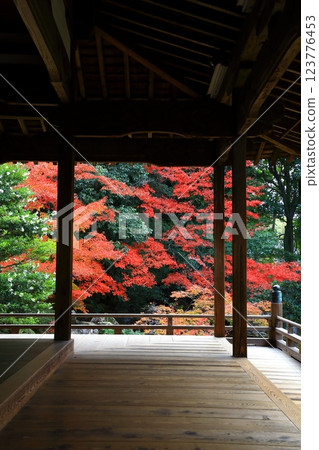 隨心院 紅葉 123776453