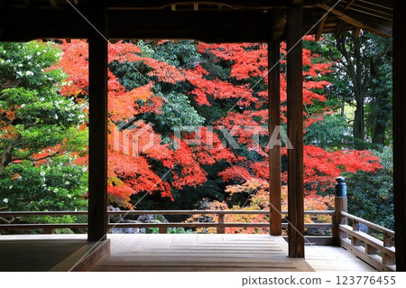 隨心院 紅葉 123776455