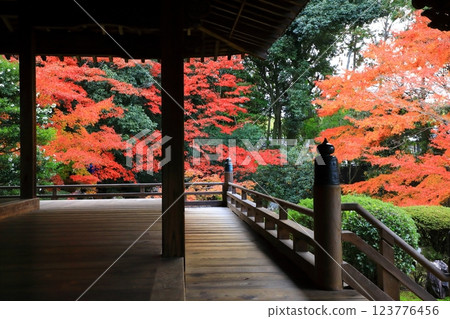 隨心院 紅葉 123776456