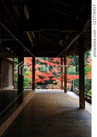 Zuishin-in Temple Autumn leaves 123776457