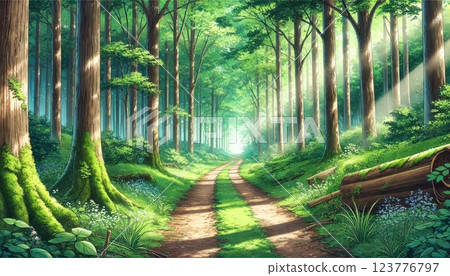 充滿綠色的神秘森林和沐浴在陽光下的小路 123776797