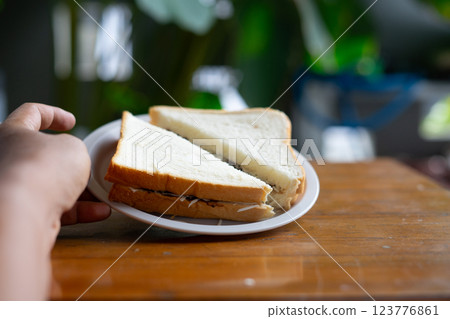 A hand offers a plate with a delicious chocolate crunch sandwich A hand offers a plate with a delicious chocolate crunch sandwich 123776861