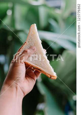 Choco Crunch Sandwich in Hand Choco Crunch Sandwich in Hand 123776862