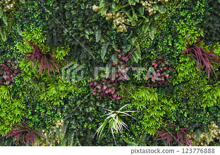 The background wall of herbaceous plants is made of green material. wallpaper with flowers in a natural style 123776888