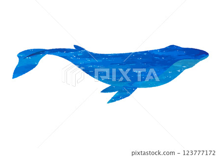Whale vector illustrations - prints, stamps, collages, watercolors, hand-drawn style 123777172