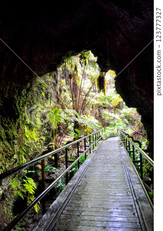 熔岩管、火山洞穴 123777327