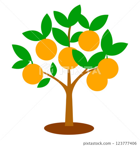 Orange Tree Icon Minimalist Citrus Illustration for Eco Friendly Branding and Organic Product Design Orange Tree Icon Minimalist Citrus Illustration for Eco Friendly Branding and Organic Product Design 123777406
