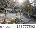 Heguri Kasuga Shrine 123777592
