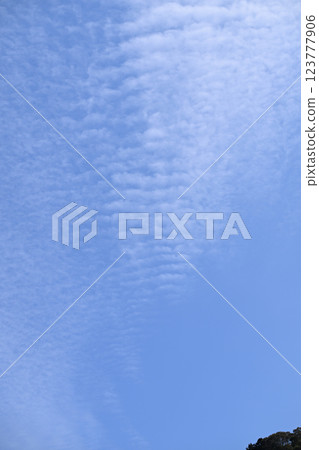 Blue sky and clouds in early spring 123777906