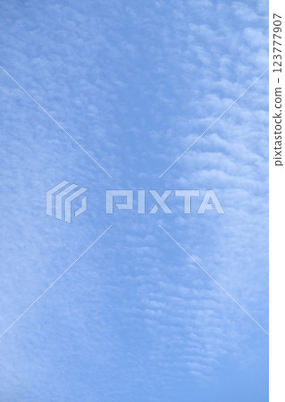 早春的藍天白雲 早春的藍天白雲 123777907