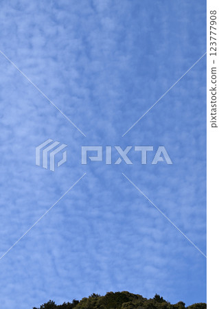 早春的藍天白雲 早春的藍天白雲 123777908