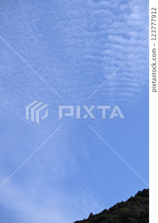 早春的藍天白雲 123777912