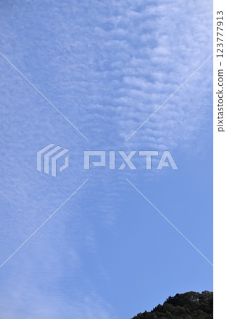 早春的藍天白雲 早春的藍天白雲 123777913