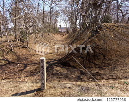 勝山城跡-護城河遺跡 123777938