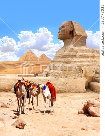 Camels, Great Sphinx and pyramids of Chephren and Cheops, Cairo, Egypt. Great Pyramids and statue of Sphinx, Giza complex. Topic of summer vacation, travel, trip abroad on vacation, cruises and tours Camels, Great Sphinx and pyramids of Chephren and Cheops, Cairo, Egypt. Great Pyramids and statue of Sphinx, Giza complex. Topic of summer vacation, travel, trip abroad on vacation, cruises and tours 123778033