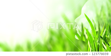 Horizontal banner with human profile made of green grass. Sustainable development of strategy approach to zero waste, responsible consumption. Reuse, ecology, renewable resource, eco-friendly concept 123778039