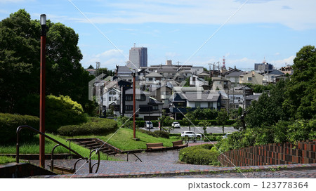 從青花森林公園眺望千葉市 從青花森林公園眺望千葉市 123778364
