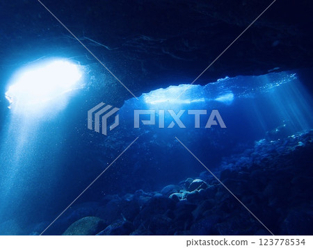 在 Futo Hall 看到的海豚 123778534