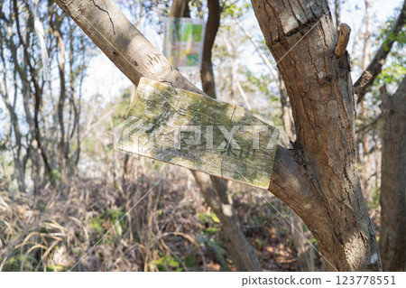 Summit of Sun Hill Higashiyama (Kisen Alps) Summit of Sun Hill Higashiyama (Kisen Alps) 123778551