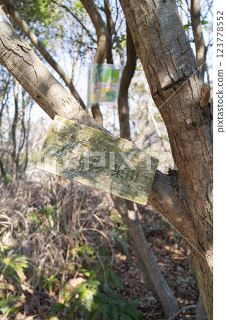 太陽山東山頂（吉泉阿爾卑斯山） 123778552