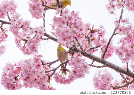 期盼已久的春天已經到來! 期盼已久的春天已經到來! 123778568