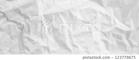 Paper White Crumpled Background Old Vintage Letter Grey Wrinkle Sheet Dirty Crease Page Design Letter Torn Parchment Craft Grunge Kraft Pattern Rough Canvas Brown Page Aged Texture Mockup Cardboard. 123778675
