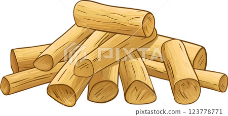 Sandalwood Sticks Colored Detailed Illustration 123778771