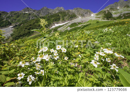 Karasawa's mining plants and the mountains of the Northern Alps 123779086