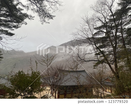 "Tranquil Yeongoksa Temple Scenery on a Rainy Day" "Tranquil Yeongoksa Temple Scenery on a Rainy Day" 123779320