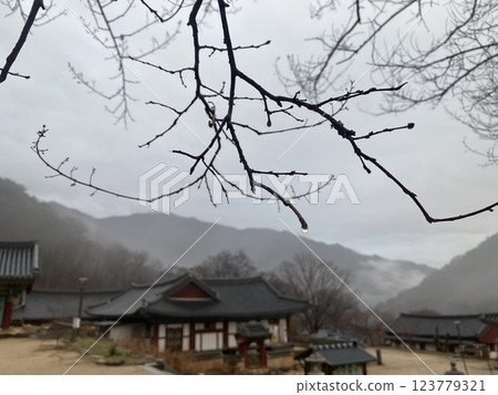 "Tranquil Yeongoksa Temple Scenery on a Rainy Day" "Tranquil Yeongoksa Temple Scenery on a Rainy Day" 123779321