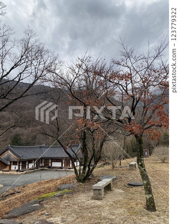 "Tranquil Yeongoksa Temple Scenery on a Rainy Day" "Tranquil Yeongoksa Temple Scenery on a Rainy Day" 123779322