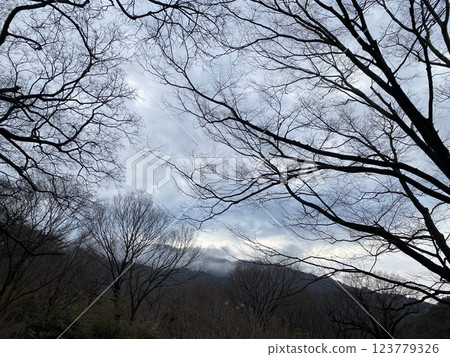 "Tranquil Yeongoksa Temple Scenery on a Rainy Day" 123779326