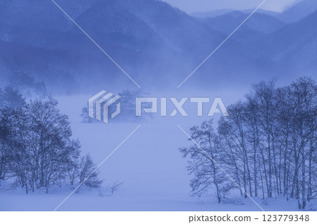 Rime-covered trees in mist Rime-covered trees in mist 123779348