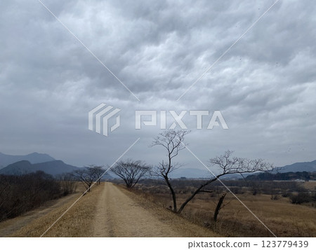 "Scenic Stroll Along the Seomjin River Walking Trail in Gure" "Scenic Stroll Along the Seomjin River Walking Trail in Gure" 123779439