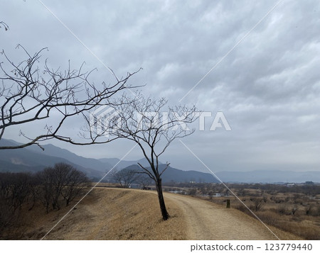 "Scenic Stroll Along the Seomjin River Walking Trail in Gure" 123779440