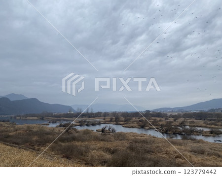 "Scenic Stroll Along the Seomjin River Walking Trail in Gure" 123779442
