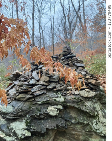 "Autumn Leaves in the Piagol Valley Forest, Jirisan" "Autumn Leaves in the Piagol Valley Forest, Jirisan" 123779499